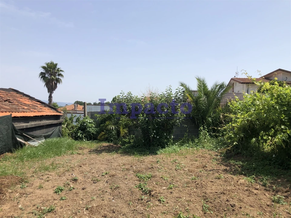 Moradia T1 para Venda em Vila de Cucujães Foto 3