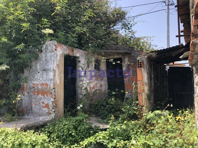 Moradia T1 para Venda em Vila de Cucujães Foto 5