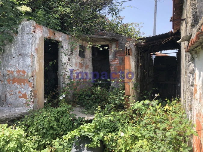 Moradia T1 para Venda em Vila de Cucujães Foto 12