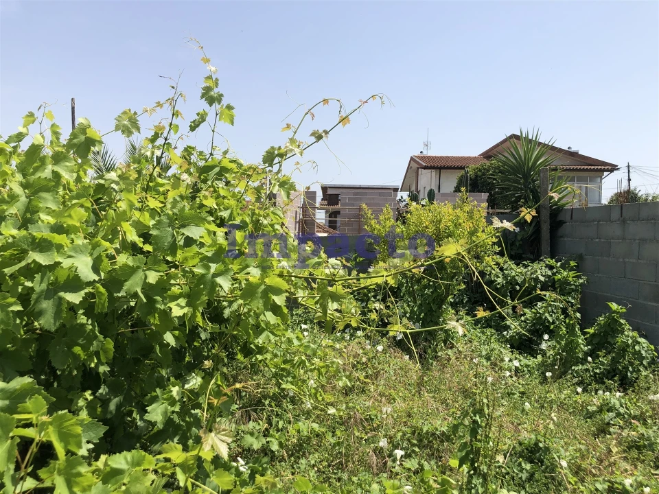 Moradia T1 para Venda em Vila de Cucujães Foto 13