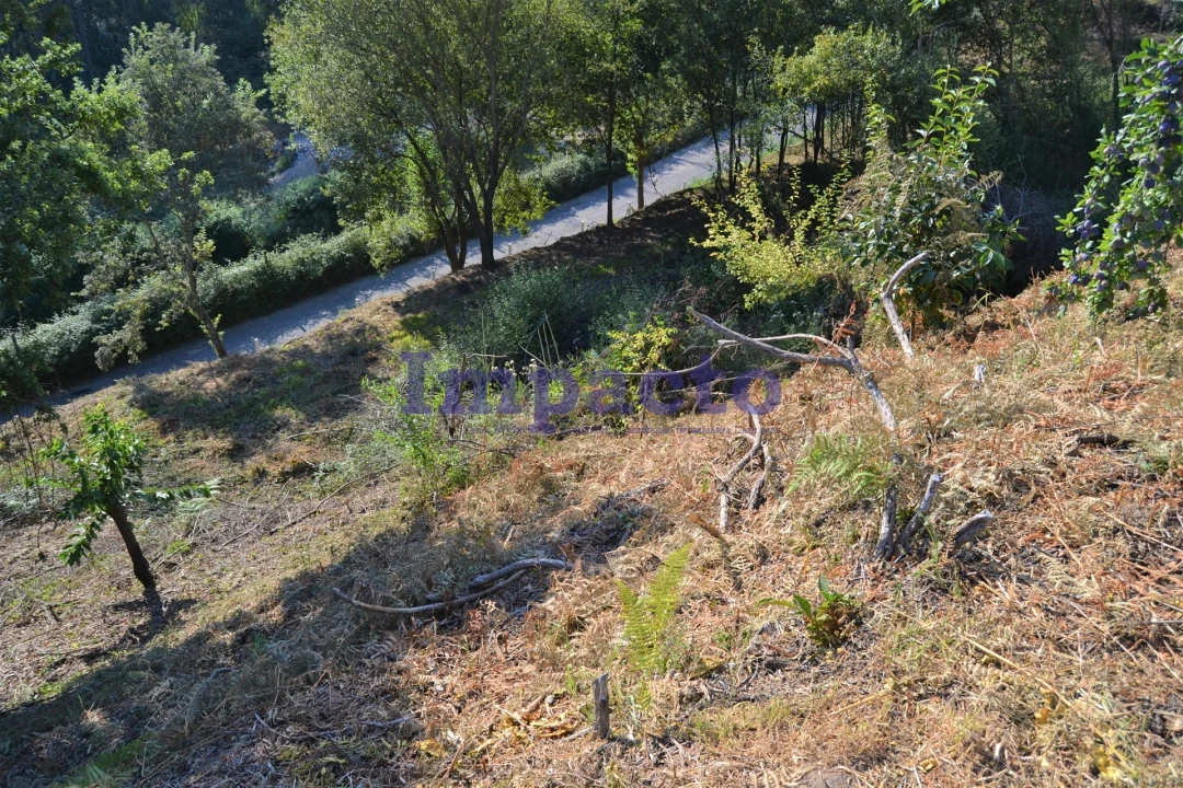 Moradia T6 para Venda em Fajões Foto 84