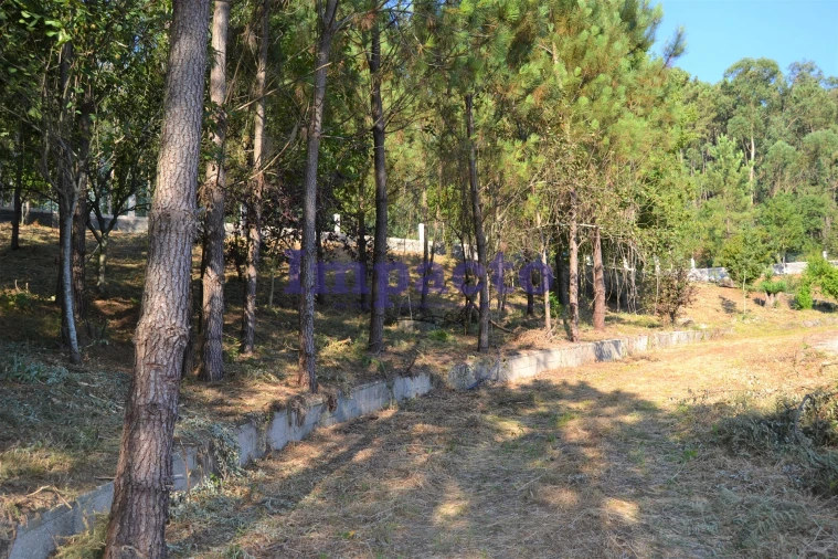 Moradia T6 para Venda em Fajões Foto 85