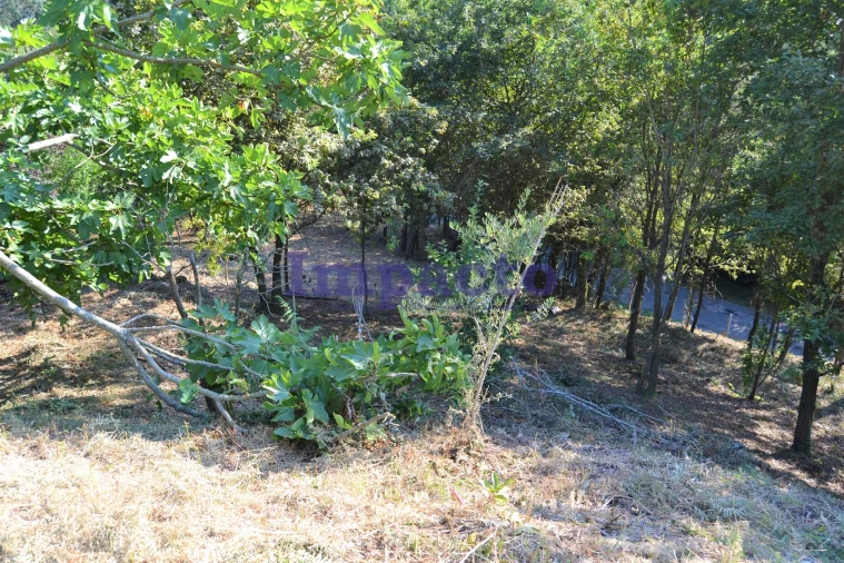 Moradia T6 para Venda em Fajões Foto 86