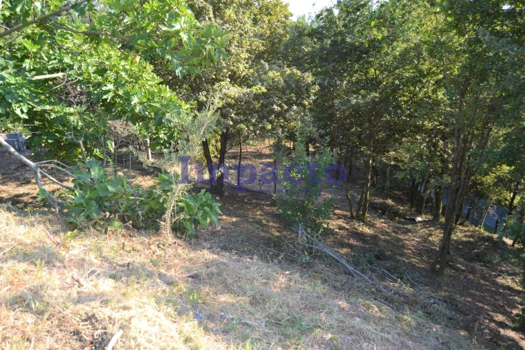 Moradia T6 para Venda em Fajões Foto 88