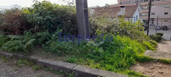 Terreno para Venda em Vila de Cucujães