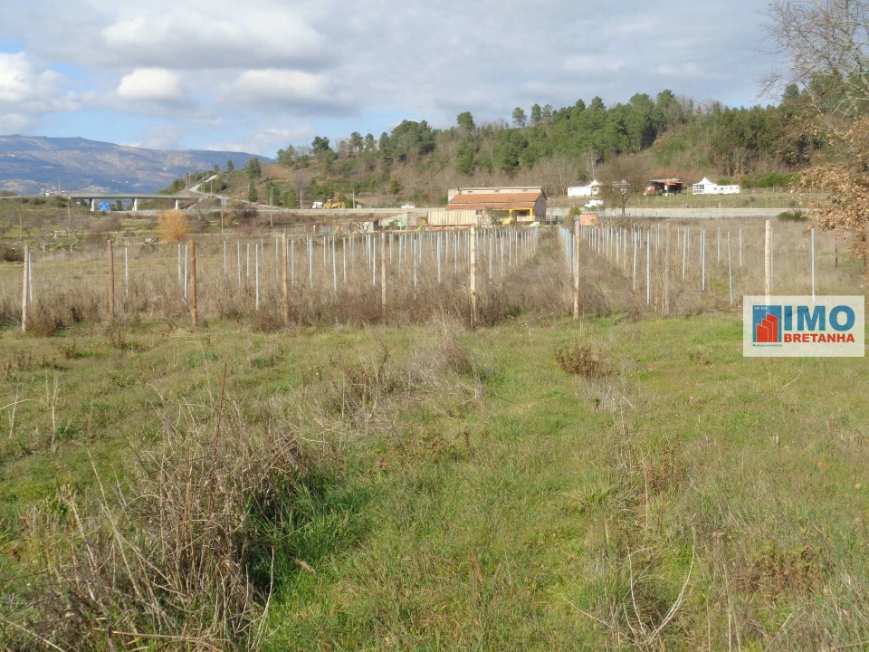 Quinta T0 para Venda em Alcaria Foto 1