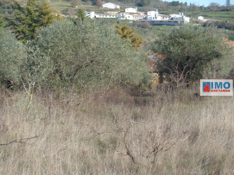 Quinta T0 para Venda em Alcaria Foto 14