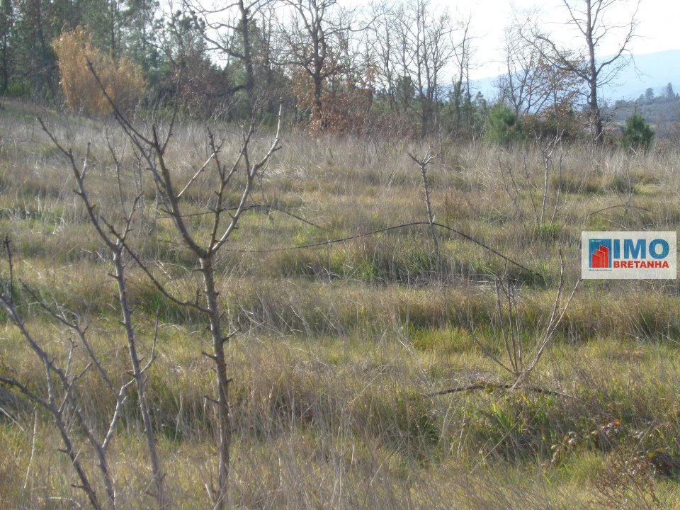 Quinta T0 para Venda em Alcaria Foto 11