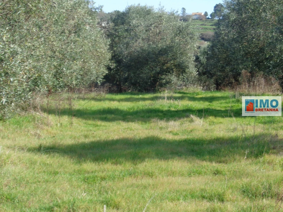 Quinta T0 para Venda em Alcaria Foto 12