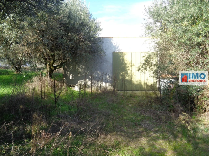 Quinta T0 para Venda em Alcaria Foto 5