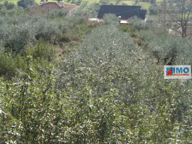 Quinta T0 para Venda em Alcaria Foto 18