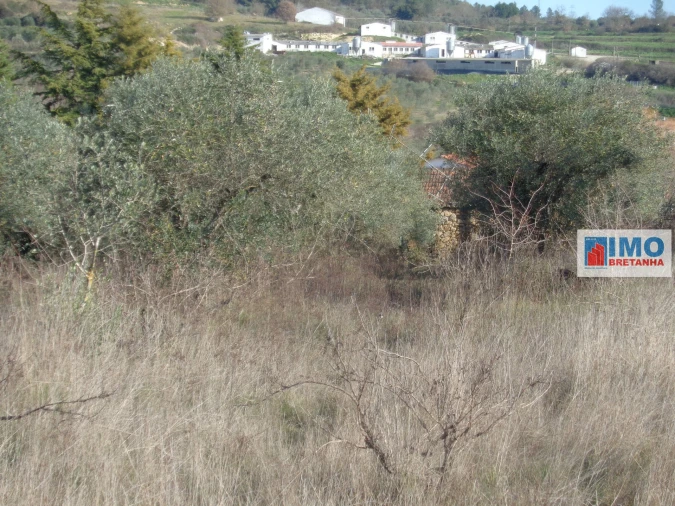 Quinta T0 para Venda em Alcaria Foto 14