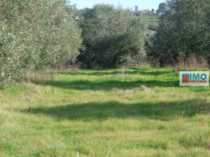 Quinta T0 para Venda em Alcaria Foto 12