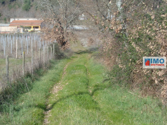 Quinta T0 para Venda em Alcaria Foto 9