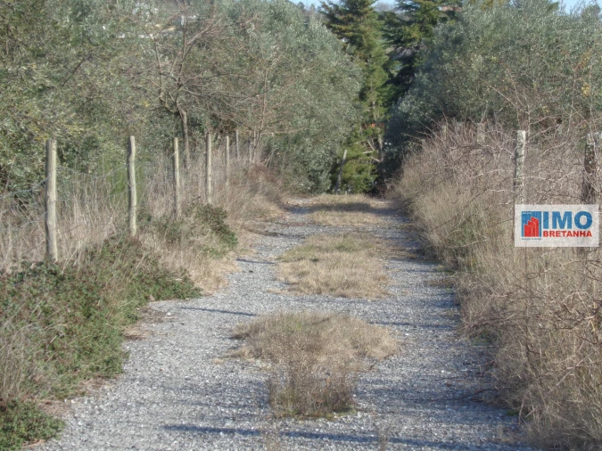 Quinta T0 para Venda em Alcaria Foto 13