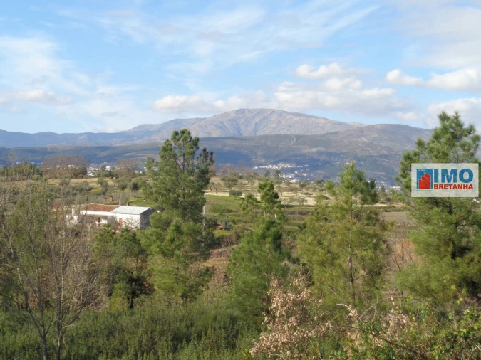 Quinta T0 para Venda em Alcaria Foto 21