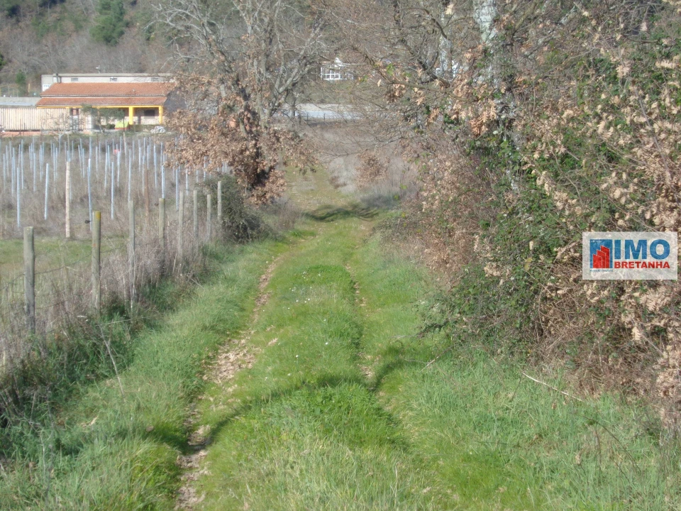 Quinta T0 para Venda em Alcaria Foto 9