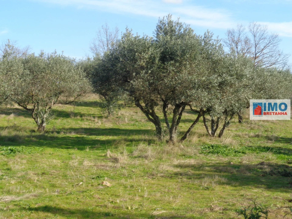 Quinta T0 para Venda em Alcaria Foto 22