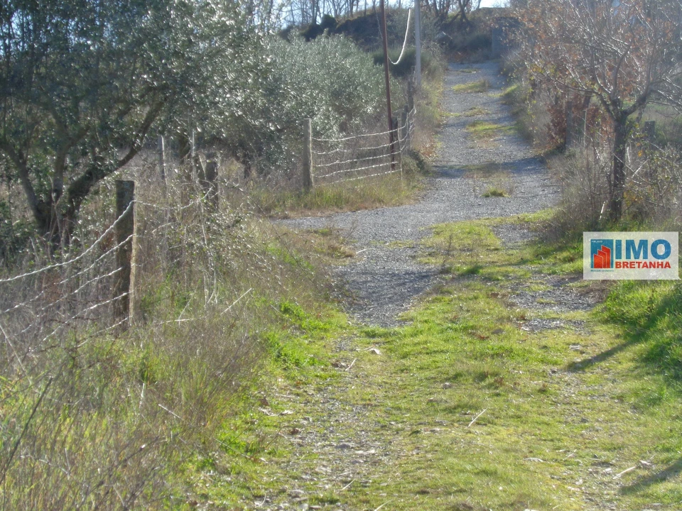 Quinta T0 para Venda em Alcaria Foto 10