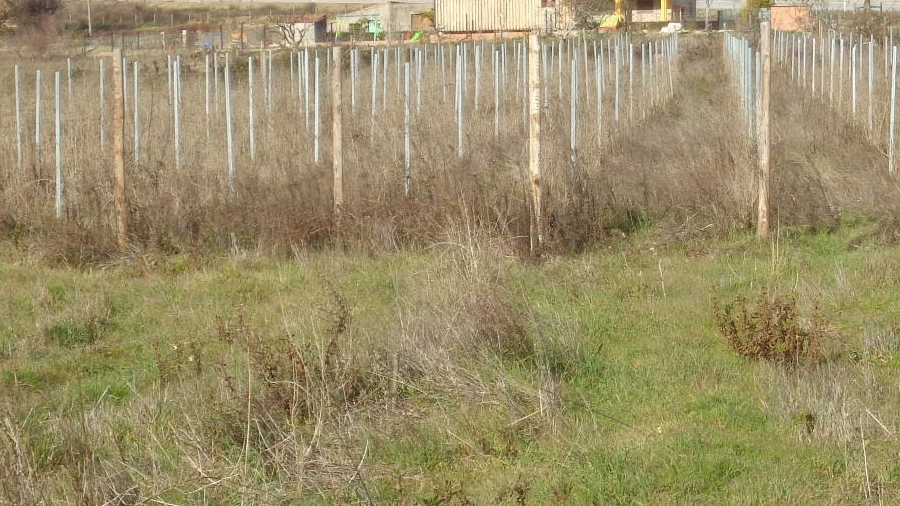 Quinta T0 para Venda em Alcaria