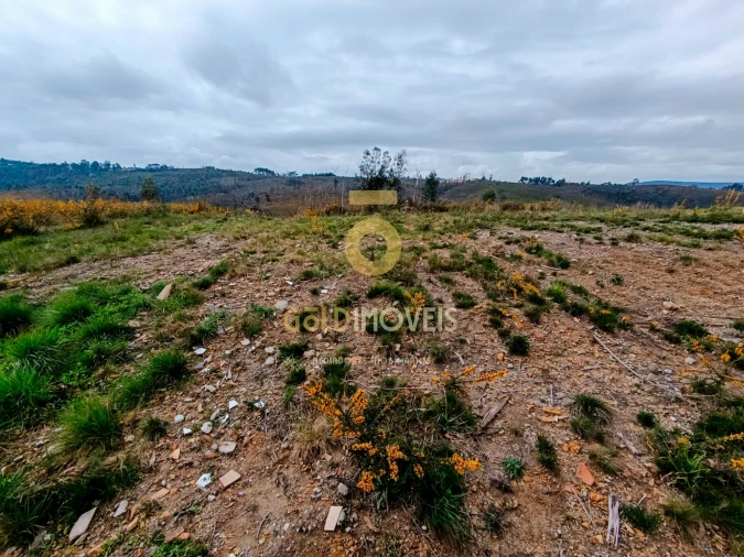 Terreno para Venda em Sobreira Foto 5