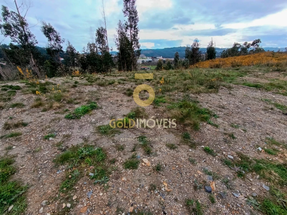 Terreno para Venda em Sobreira Foto 8