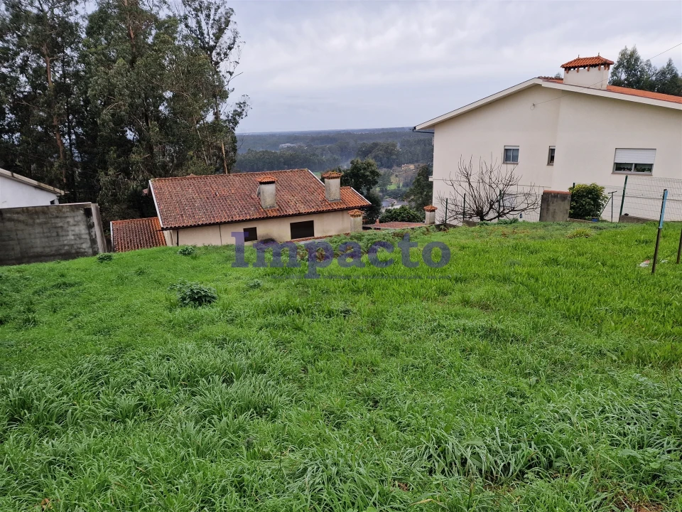 Terreno para Venda em Vila de Cucujães Foto 3