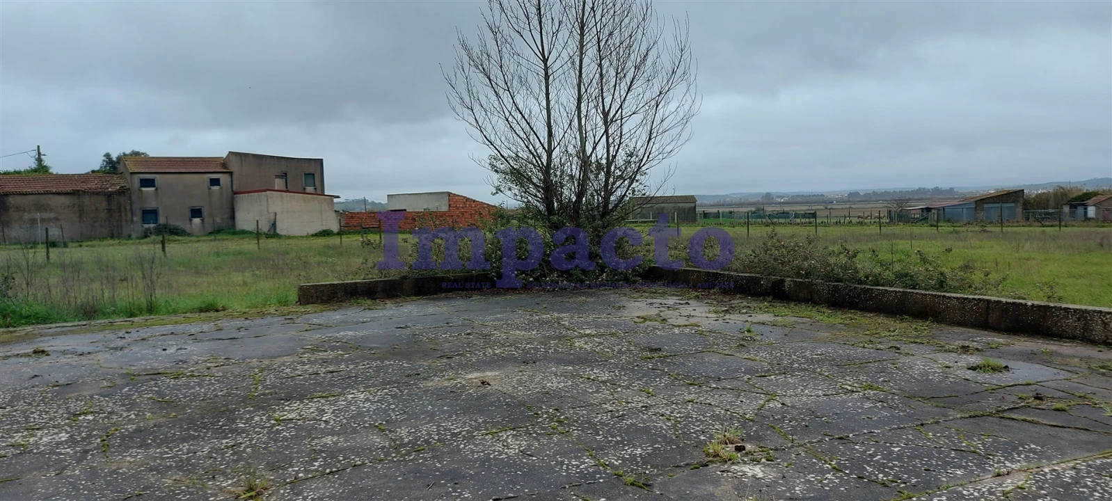 Terreno Agricola ou Rústico para Venda em Maiorca Foto 12