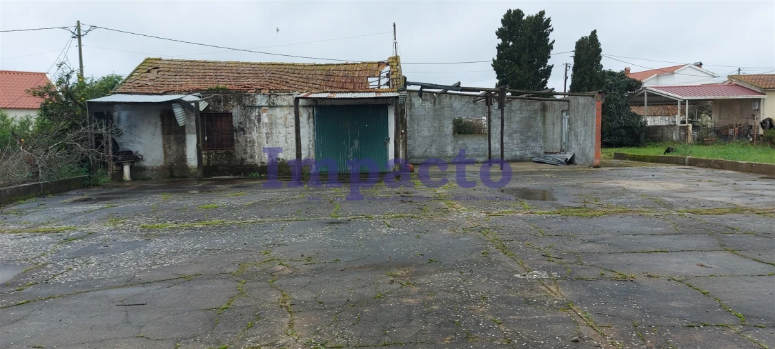 Terreno Agricola ou Rústico para Venda em Maiorca Foto 10