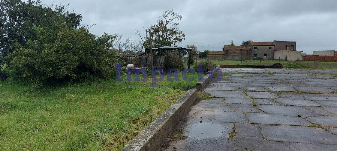 Terreno Agricola ou Rústico para Venda em Maiorca Foto 4