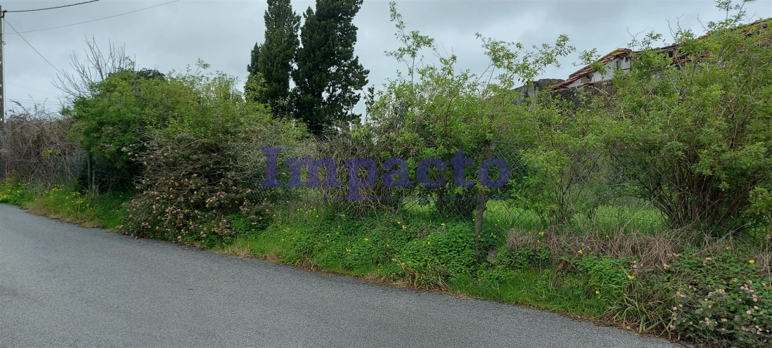 Terreno Agricola ou Rústico para Venda em Maiorca Foto 20