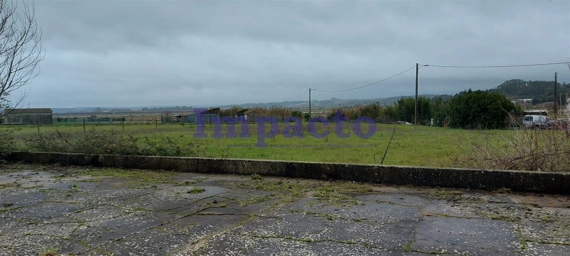 Terreno Agricola ou Rústico para Venda em Maiorca Foto 11