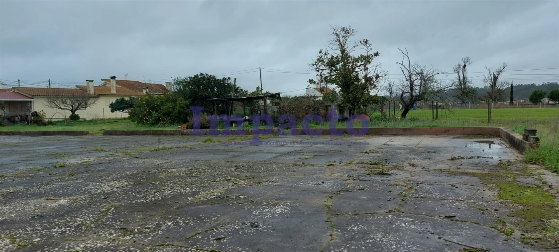 Terreno Agricola ou Rústico para Venda em Maiorca Foto 16