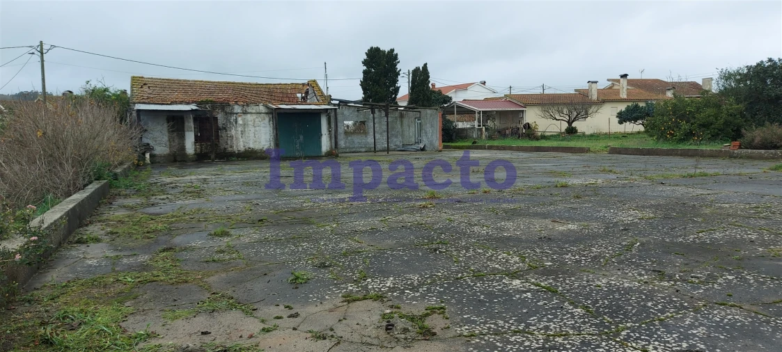 Terreno Agricola ou Rústico para Venda em Maiorca Foto 15