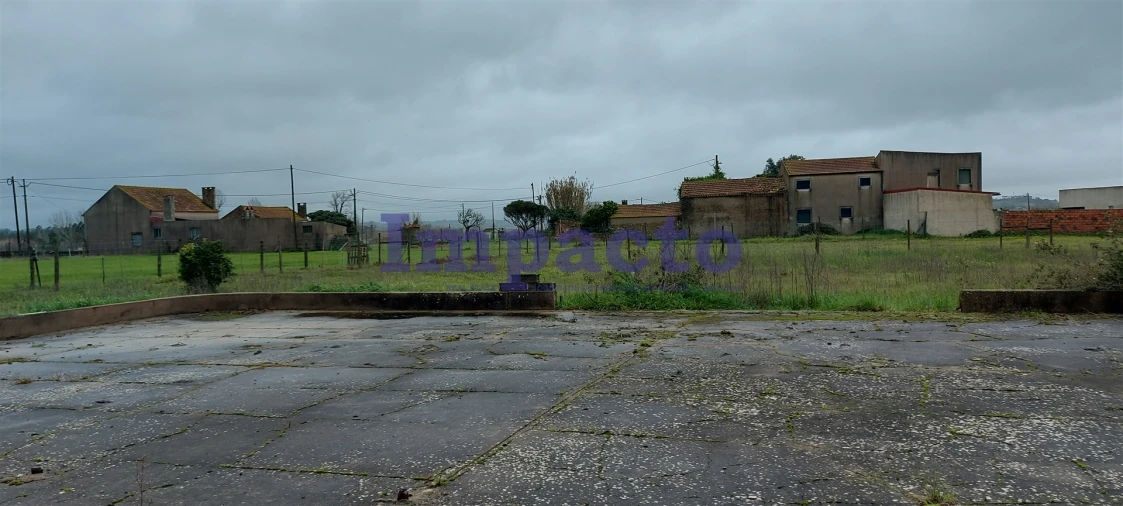 Terreno Agricola ou Rústico para Venda em Maiorca Foto 13