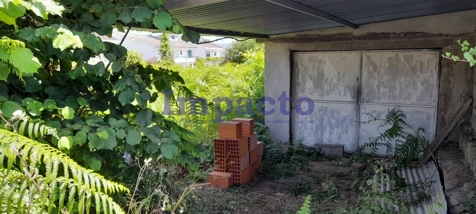 Terreno para Venda em Vila de Cucujães Foto 2