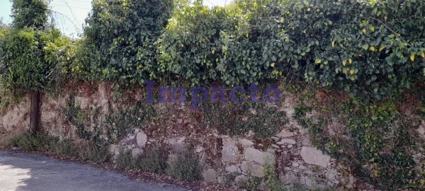 Terreno para Venda em Vila de Cucujães