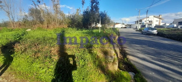 Terreno para Venda em Caldas de São Jorge e Pigeiros