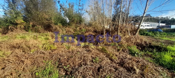 Terreno para Venda em Caldas de São Jorge e Pigeiros