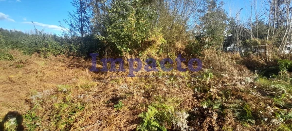 Terreno para Venda em Caldas de São Jorge e Pigeiros
