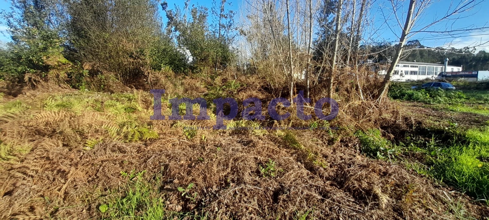 Terreno para Venda em Caldas de São Jorge e Pigeiros Foto 4