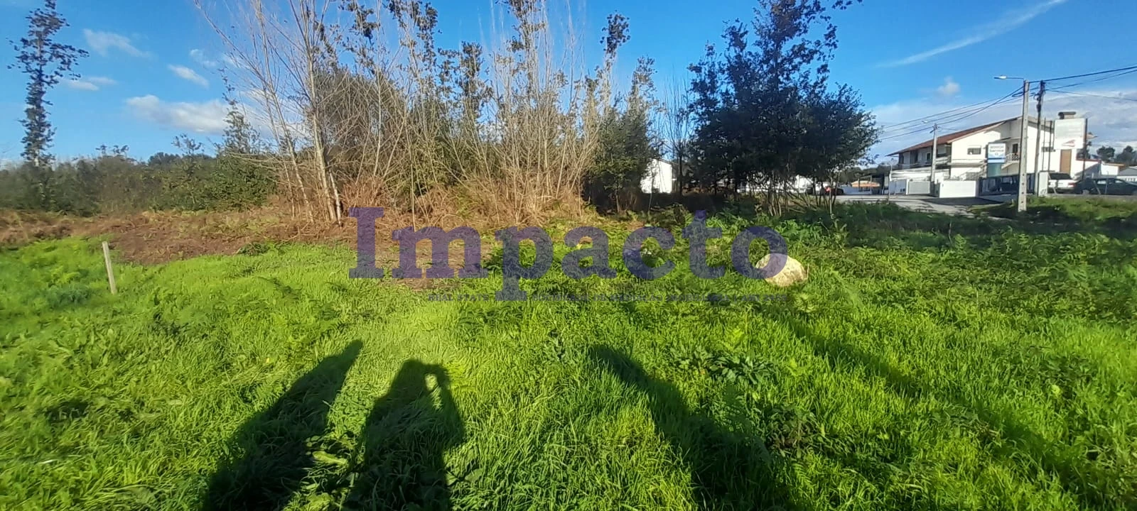Terreno para Venda em Caldas de São Jorge e Pigeiros Foto 8