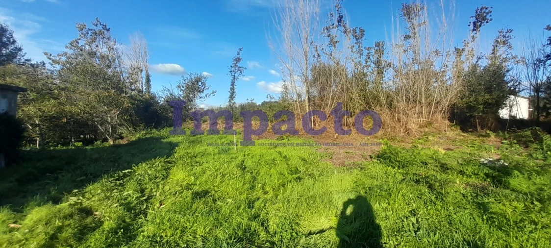 Terreno para Venda em Caldas de São Jorge e Pigeiros Foto 7