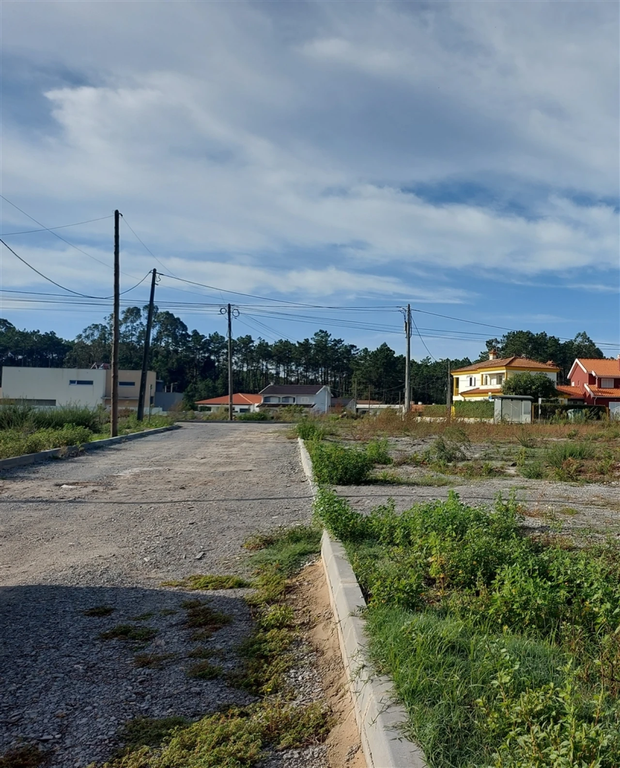 Terreno Agricola ou Rústico para Venda em Calvão Foto 10