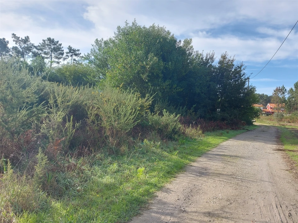 Terreno Agricola ou Rústico para Venda em Calvão Foto 9