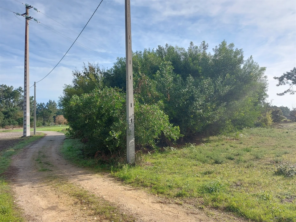 Terreno Agricola ou Rústico para Venda em Calvão Foto 1