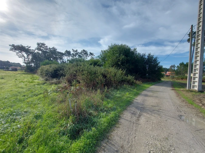 Terreno Agricola ou Rústico para Venda em Calvão Foto 8
