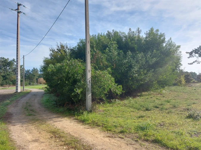 Terreno Agricola ou Rústico para Venda em Calvão Foto 1