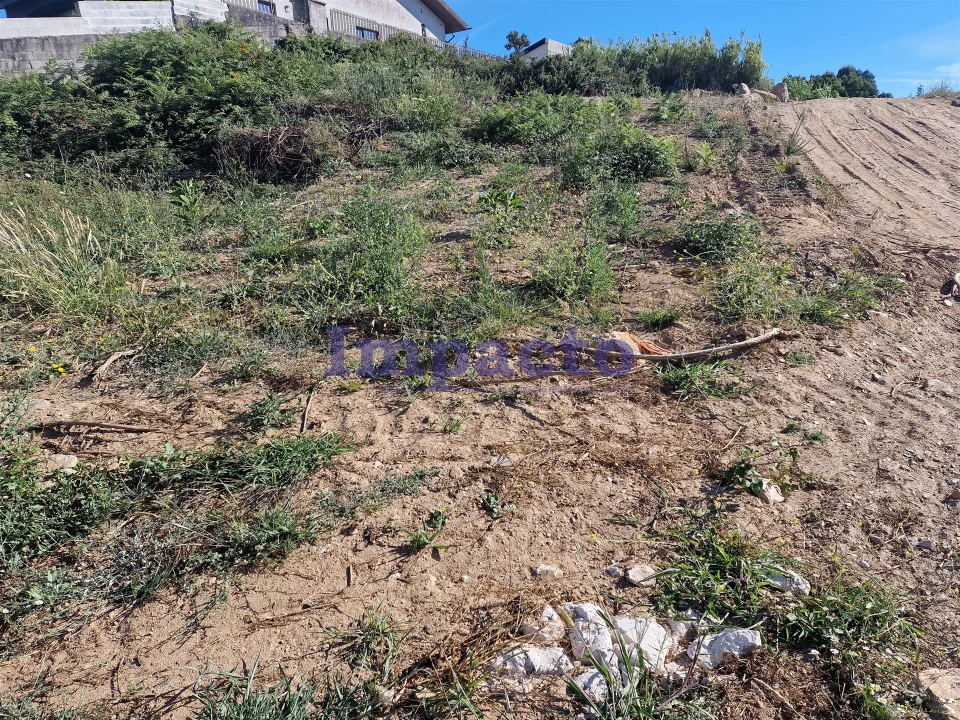Terreno Agricola ou Rústico para Venda em Escapães Foto 6