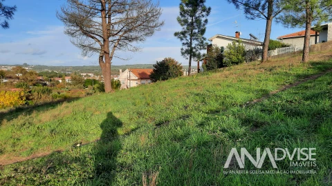 Terreno para Venda em Viseu